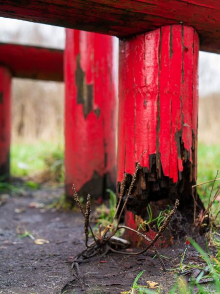 Cost of Rotten Column Replacement in Carmel